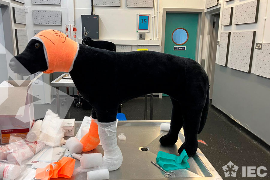 Glasgow-veterinaria